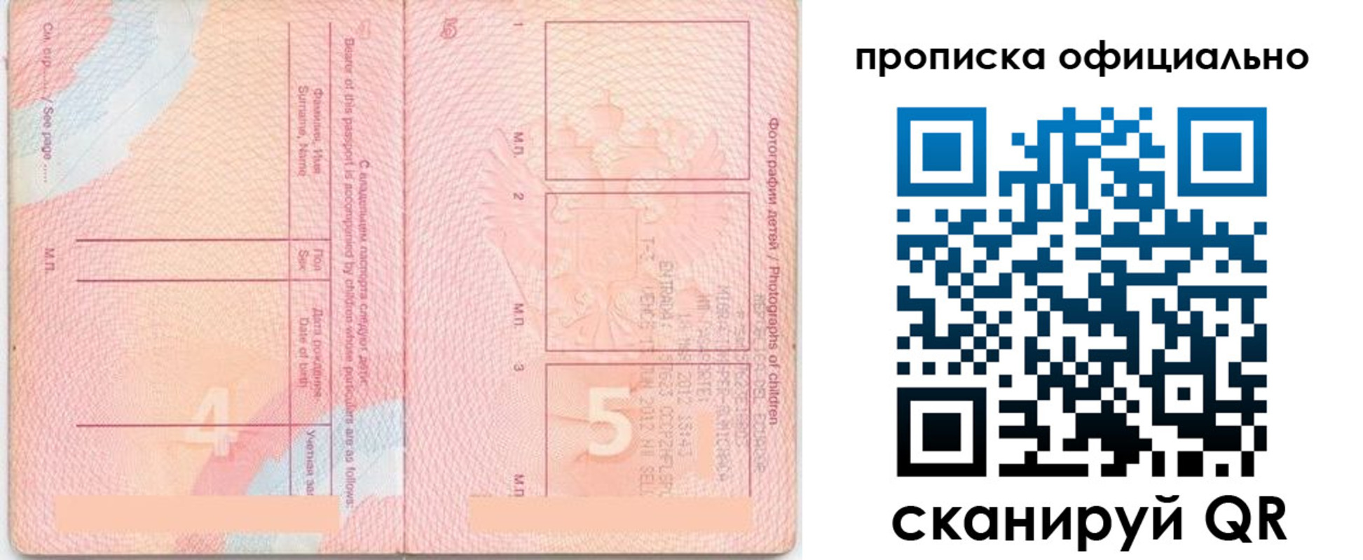 прописка для школы в Череповце